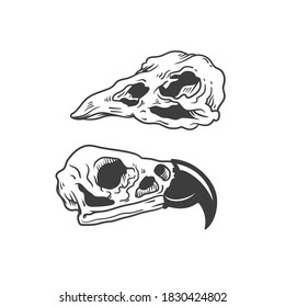 El cráneo de un pájaro. Se puede usar como dibujo de un tatuaje.