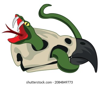 Skull of the bird and snake on white background is insulated