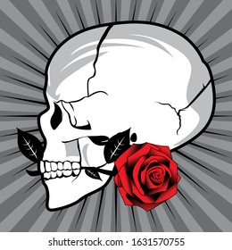 a skull bite a red rose viewed from side with grey background