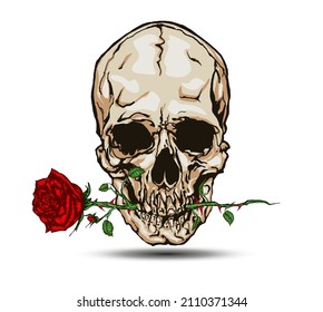 Skull biting a rose. Hand drawn vector illustration in tattoo style.