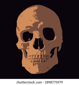 Skull in an black background