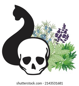 skull, black cat and herbs vector