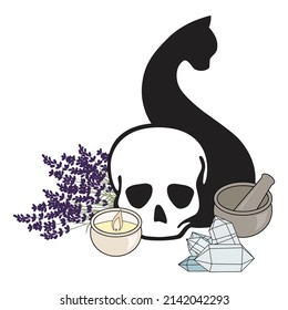 skull, black cat and lavender, vector