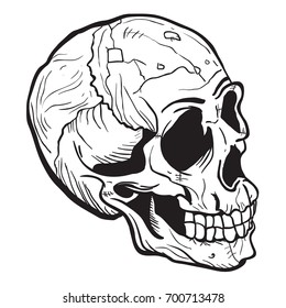 skull black and white cartoon illustration isolated on white