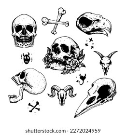 Skull   bone elements doodle dots art hand draw style