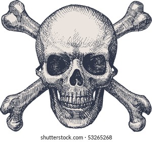 skull and bones