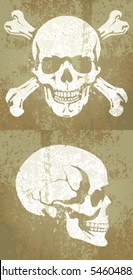 skull and bones