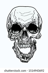 Skull with bones black and white brutal with flowers, drawn manually with the help of ink and pens vector