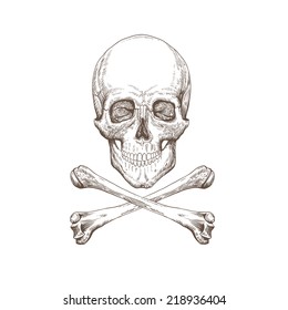 Skull   bones hand drawn  vector illustration
