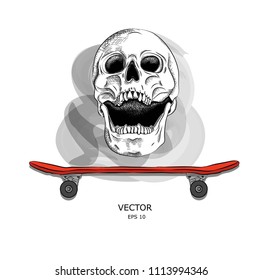 Skull and Bones. An image of the skull and skateboards. Can be used for printing on T-shirts, flyers, etc. Vector illustration