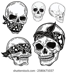 skull bones series 1 vector Illustration elements-hand drawn style 