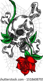 Skull and bones tatoo desing vector