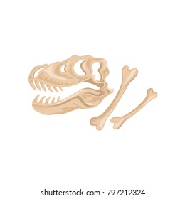 Skull and bones of Tyrannosaurus Rex. Ancient remains of dinosaur skeleton. Prehistoric reptile. Paleontology concept. Archeology icon. Flat vector design