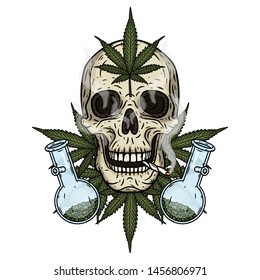 Skull Skull Bong Marijuana Leaves Rastaman Stock Vector (Royalty Free ...