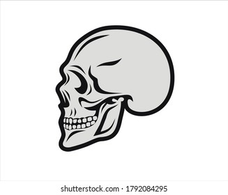 The skull is a bony structure in the skeleton of a human / animal head.