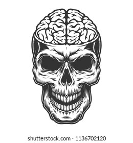 Skull with the brain. Vector concept illustration