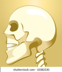  skull in brown background	