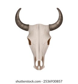 Skull of buffalo or cow, isolated head of dead animal with long horns. Vector realistic herbivore animalistic jaw vintage decoration or wild west landscape decor. Game design or assets design