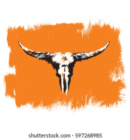 Skull of a bull