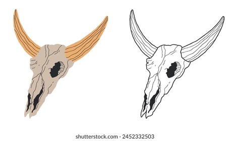 Skull bull cow western buffalo isolated concept. Vector graphic design illustration element