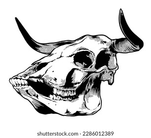 Skull Bull Hand drawn Sketch Vector illustration black and white