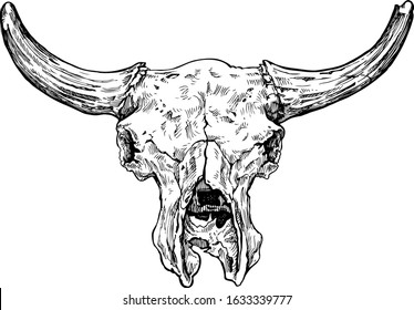 Cows Head Isolated On White Background Stock Illustration 384970276 ...