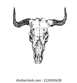 Skull of bull with horns, hand drawn ink doodle, sketch, vector outline illustration