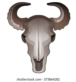 The skull of a bull. Vector.