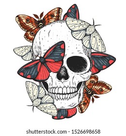 Skull and butterflies hand drawn illustration. Tattoo vintage print. Butterfly and skull.