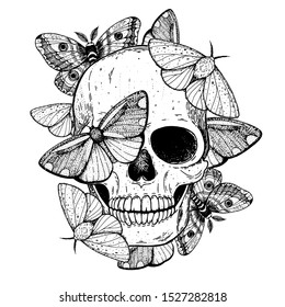 Skull and butterflies hand drawn illustration. Tattoo vintage print. Butterfly and skull sketch. Engraving illustration.