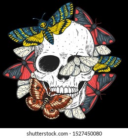 Skull Butterflies Hand Drawn Illustration Tattoo Stock Vector (Royalty ...