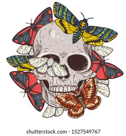 Skull and butterflies hand drawn illustration. Tattoo vintage print. Moth and skull.