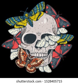 Skull and butterflies hand drawn illustration. Tattoo vintage print. Moth and skull.