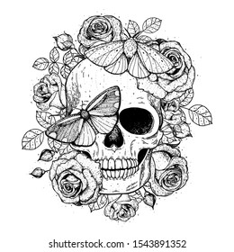 Skull and butterflies hand drawn 
sketch illustration. Tattoo vintage print. Butterfly, roses and skull vector illustration. Sketch print