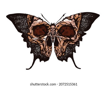 Skull Butterfly. Greater death's head hawkmoth vector abstract illustration isolated on white background.