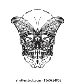 Skull with butterfly in linear style on a white background.