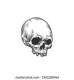 The skull. Can be used as a sketch of a tattoo.