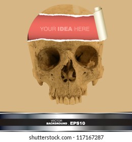 skull cartoon design. vector illustration