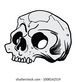 skull cartoon illustration isolated on white