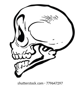skull cartoon illustration isolated on white