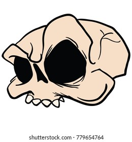 skull cartoon illustration isolated on white