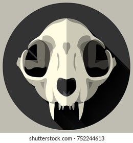 skull cat in a flat design vector