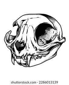 Skull Cat Hand drawn Sketch Vector illustration black and white