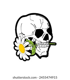 Skull with chamomile in teeth. Skeleton head and flower