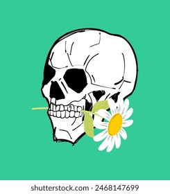 Skull with chamomile in teeth. Skeleton head and flower