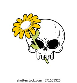 Skull and Chamomile. White flower and death. head of  skeleton and  plant.