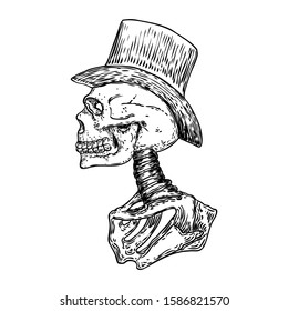 Skull characters with head top hat. Drawing. Vector.