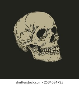 Skull with classic retro style 