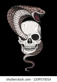 Skull and cobra snake hand drawn illustration. Tattoo vintage print. Skull hand drawn print. Tattoo design.
