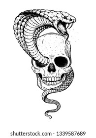 Skull and cobra snake hand drawn illustration. Tattoo vintage print. Skull hand drawn print. Tattoo design.